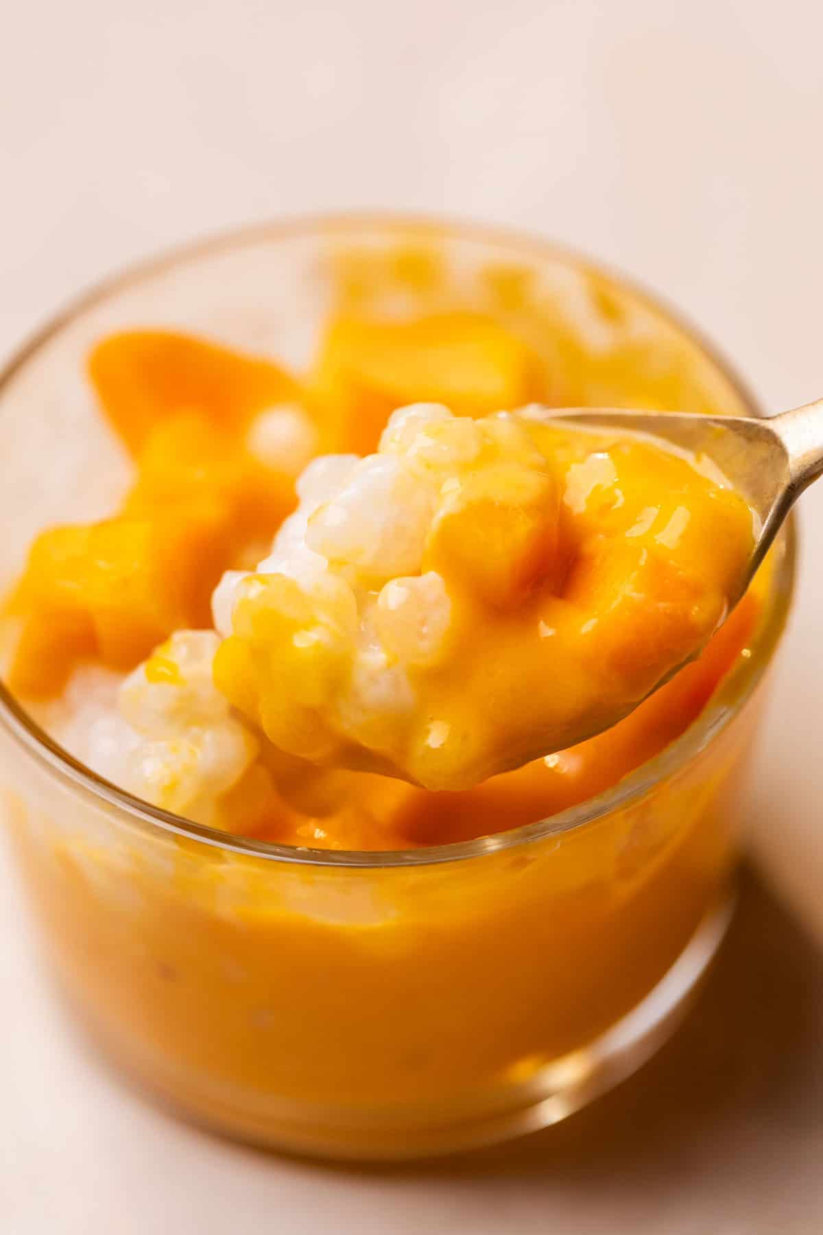a close up image of mango sago to show it's creamy texture