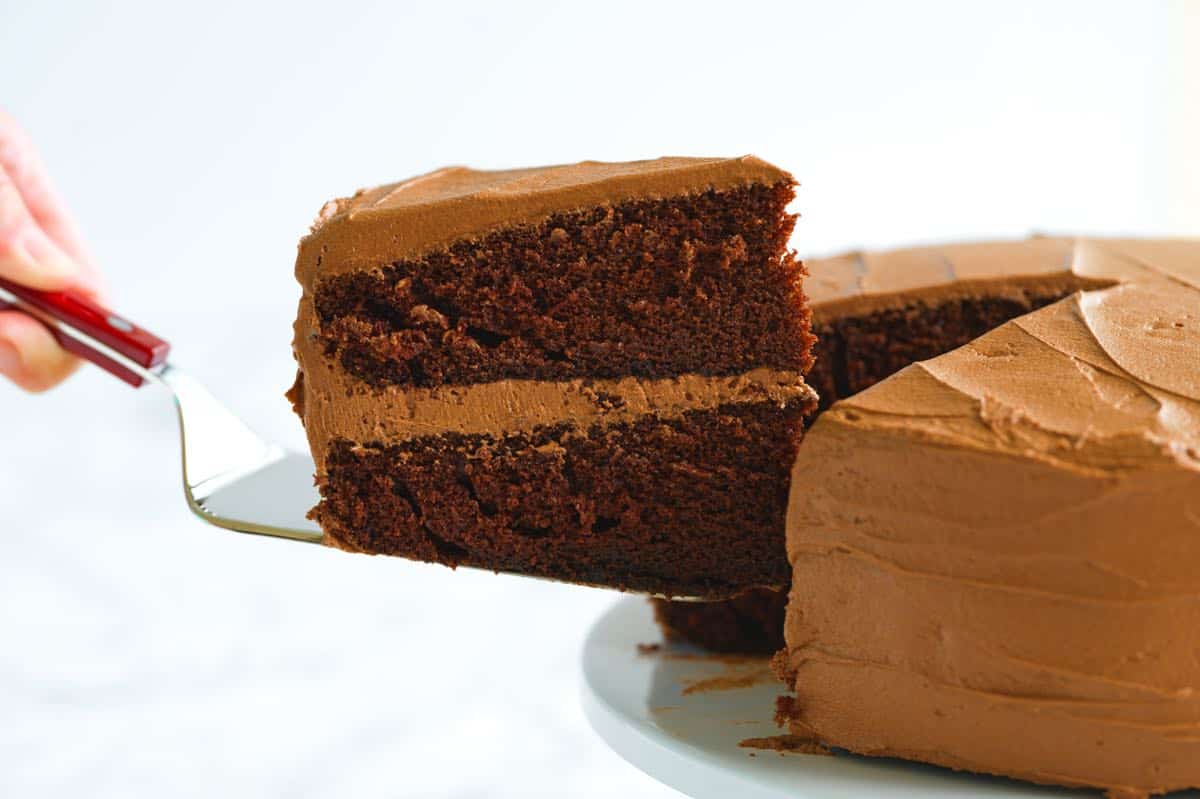 The Best Chocolate Cake