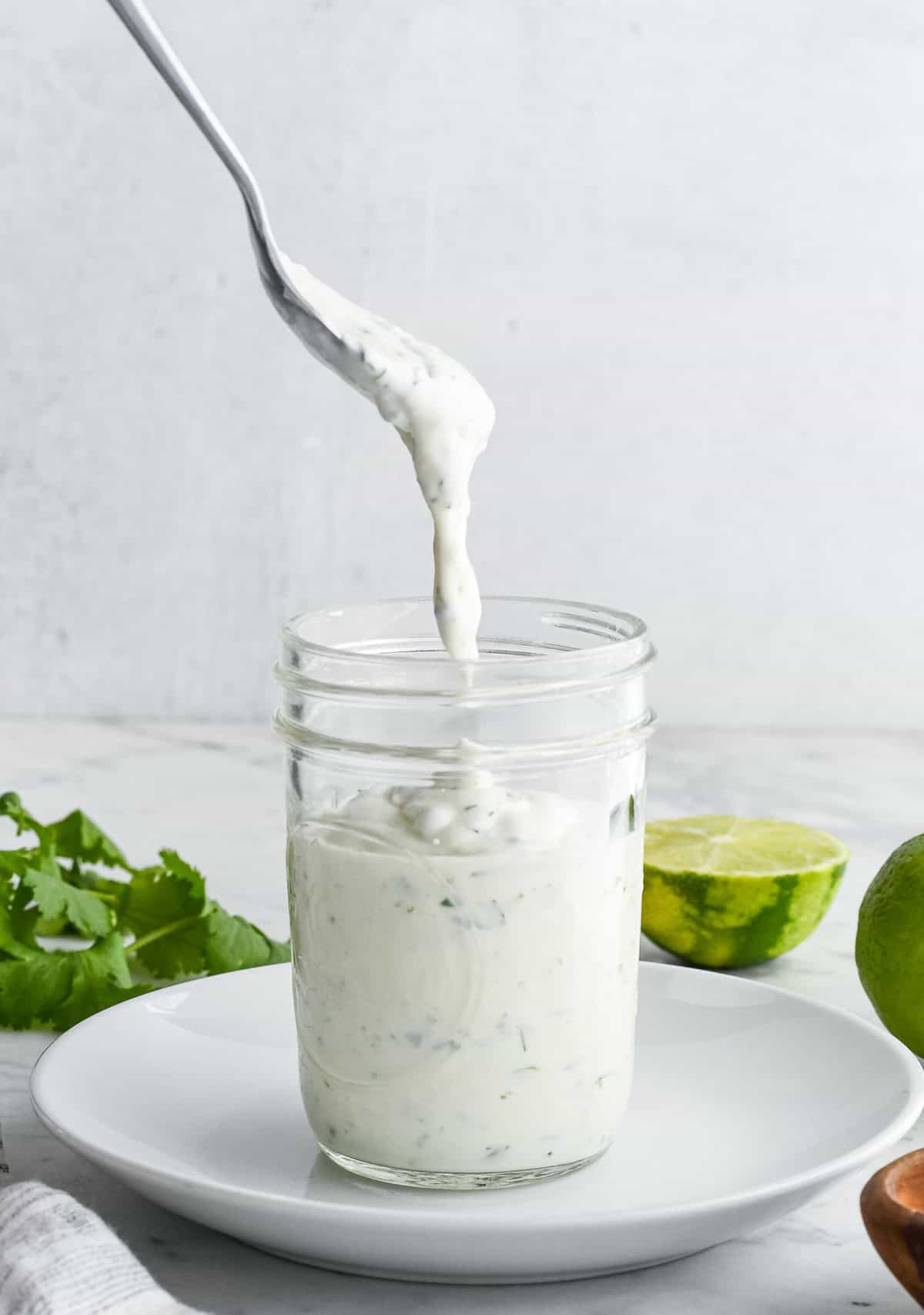 Creamy Lime Cilantro Sauce