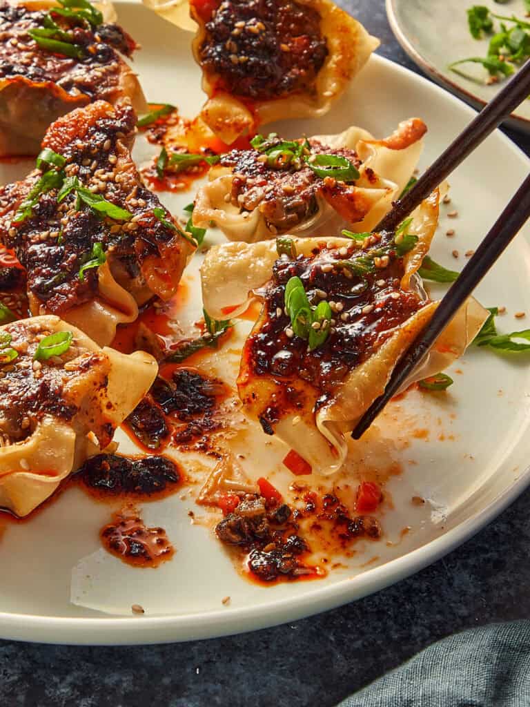 Easy Pan Dumplings