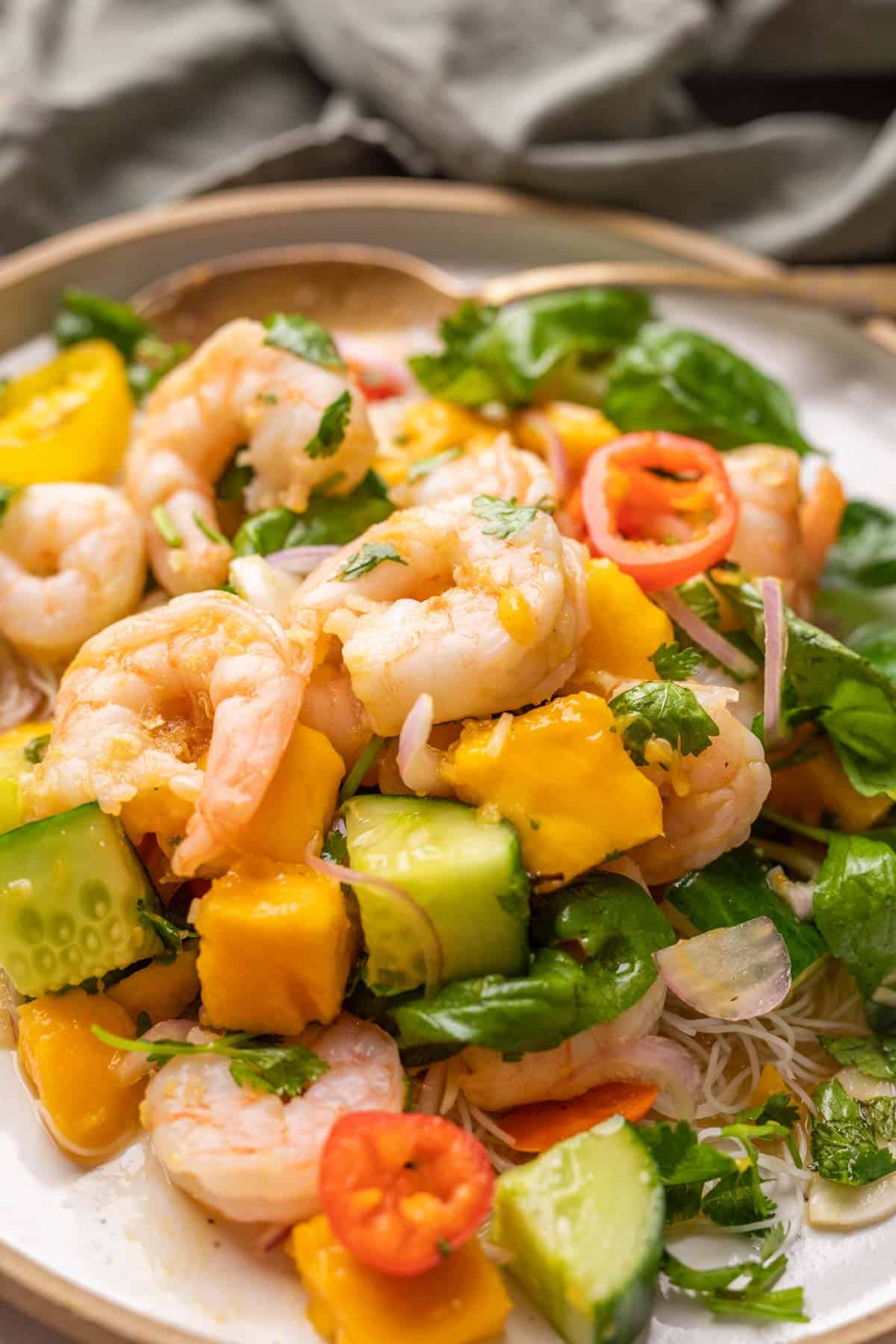 Clsoeup of prawn mango salad on a white plate