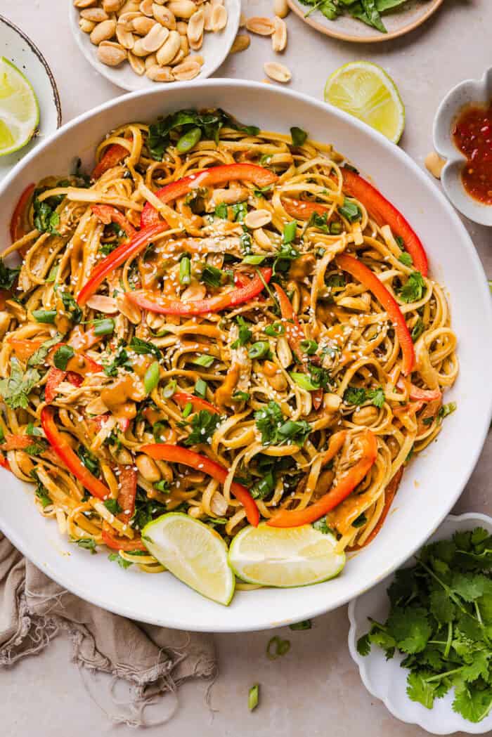 Saucy Peanut Noodles with Chicken