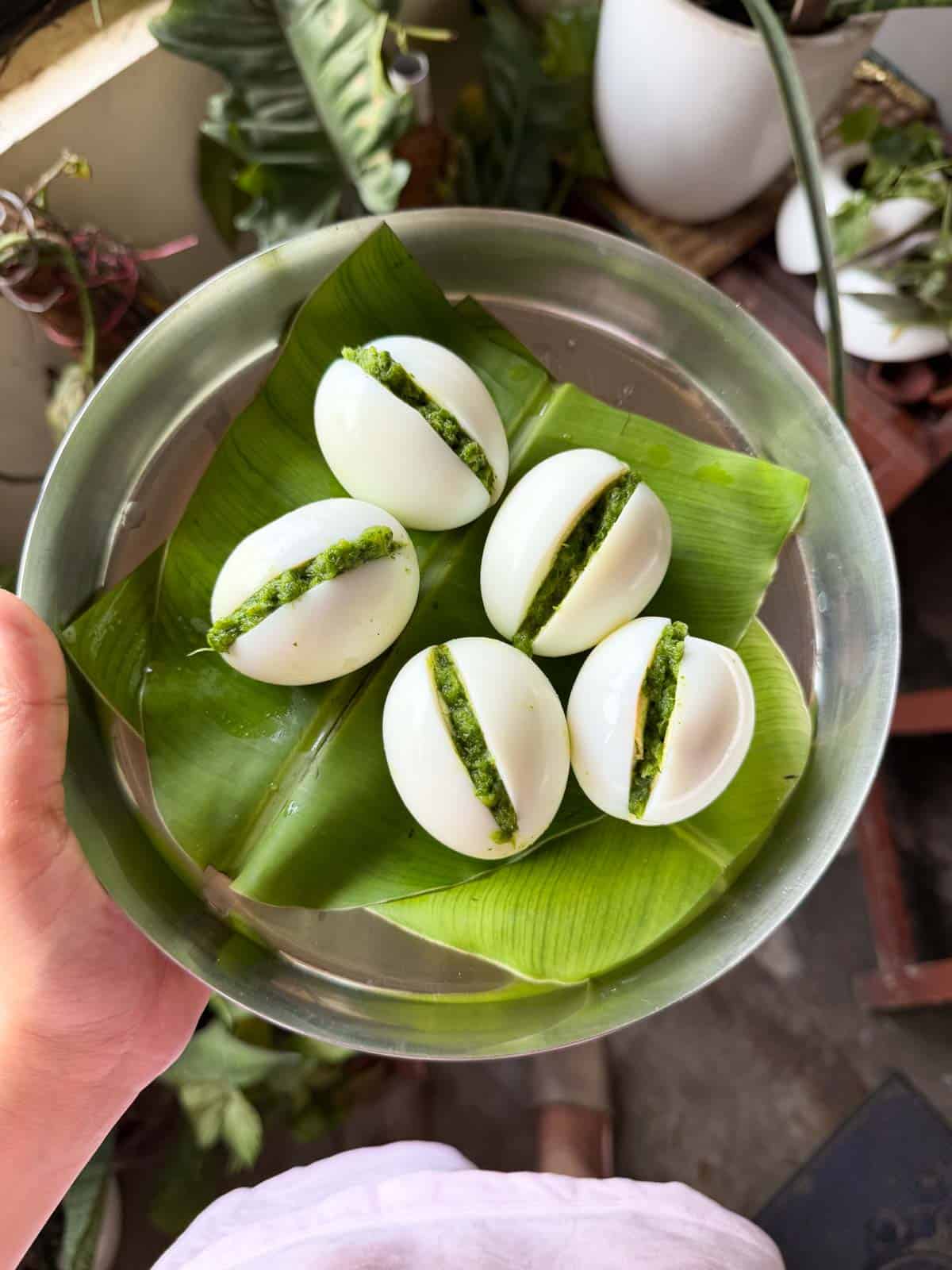 a person holding a plate of masala stuffed eggs