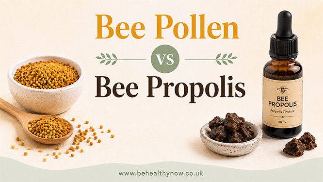 Bee Pollen vs Propolis: Benefits, Differences and Which Is Better?