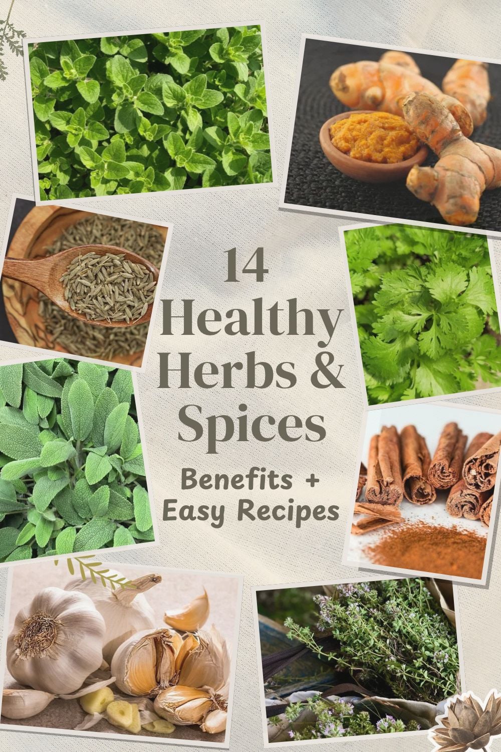 14 Healthy Herbs and Spices: Benefits, Uses & Recipes